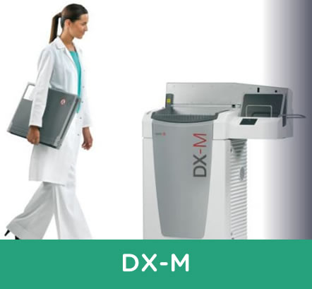 dx m 442x409
